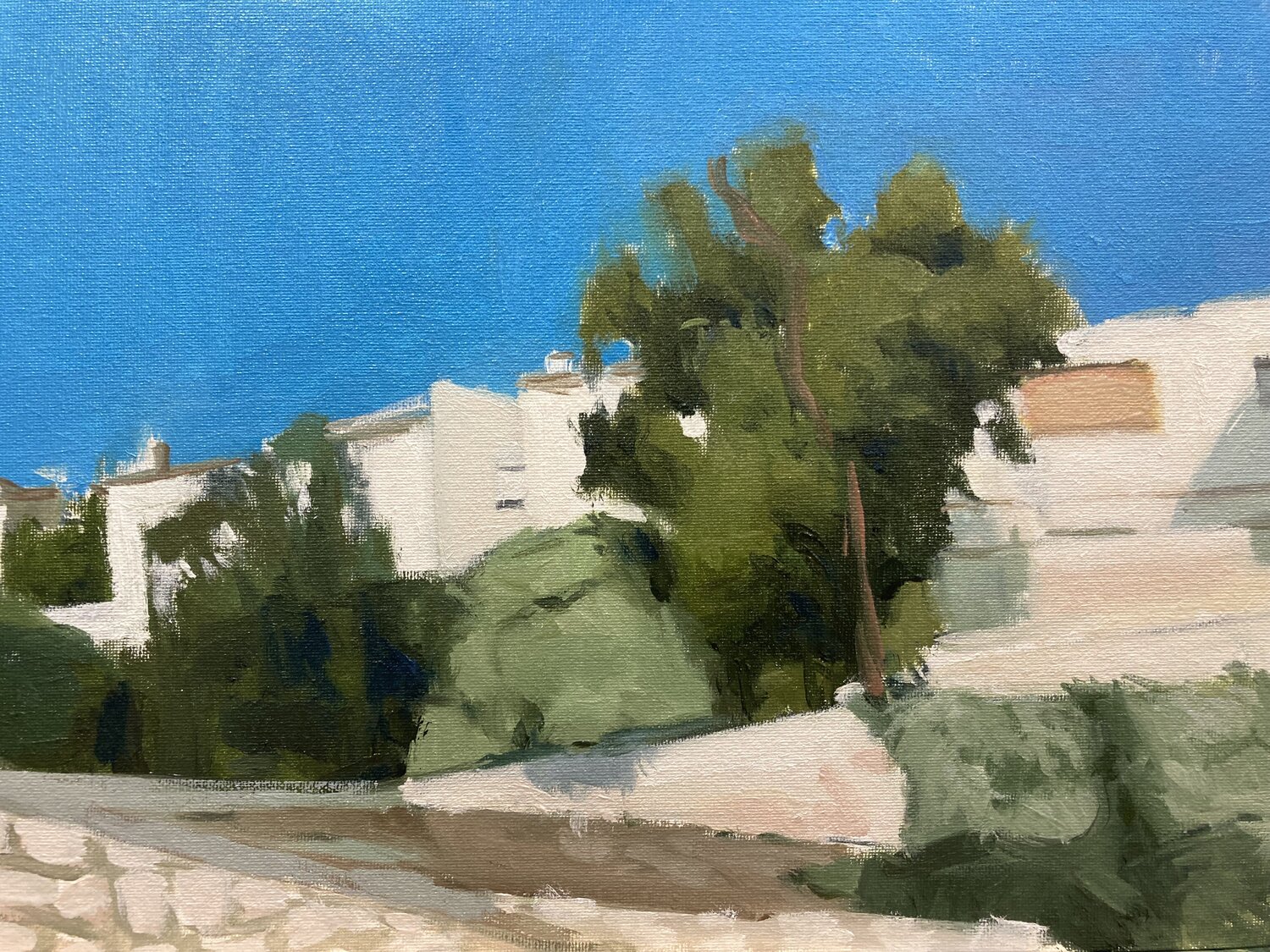 Árbol en Chinchón Antonio Mateos Prieto