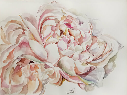 Rose peonies. Large watercolor flowers picture on paper. Floral art. par Annet Loginova, Œuvre sur papier en vente sur Singulart