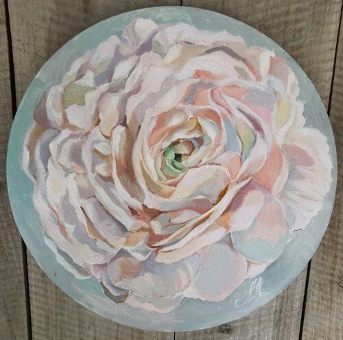 Tender oil painting with spring flower. Ranunculus on round canvas. van Annet Loginova, Schilderij te koop op Singulart