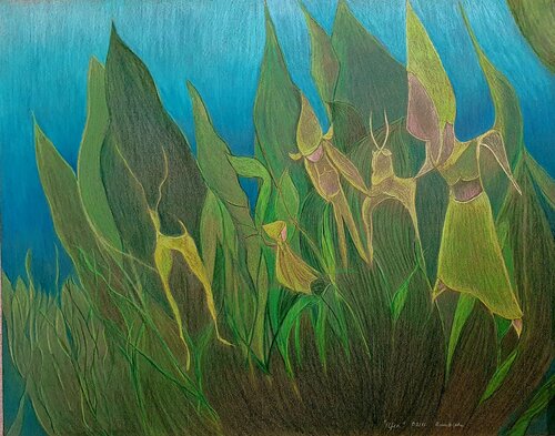Elfen im Grünen van Ulrike Schmitt, Tekening te koop op Singulart