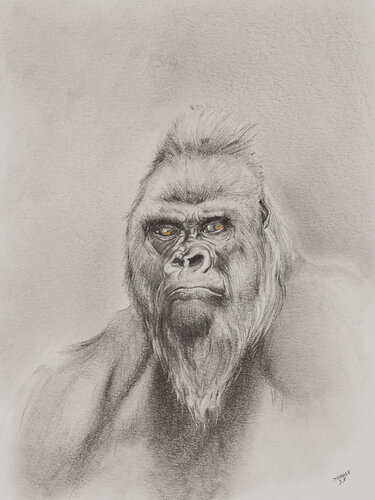 Limited Print Edition "King Kool 23" von Jean-Francois Miaule, Zeichnungen kaufen auf Singulart