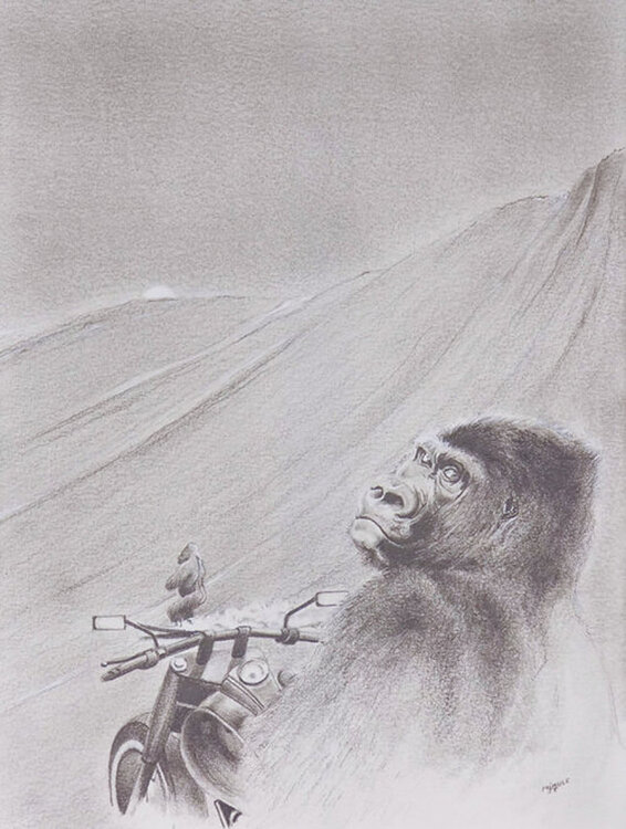 Limited Print Edition "King Kool 6" Jean-Francois Miaule