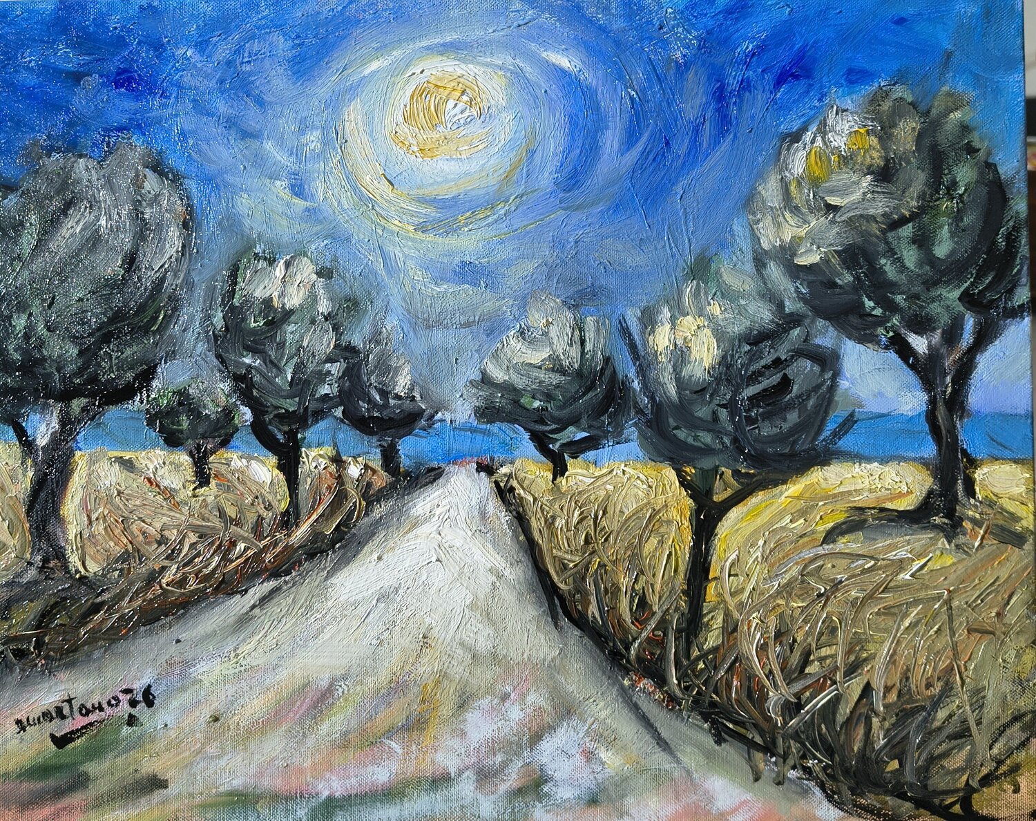 Il sentiero degli ulivi Enzo Martano