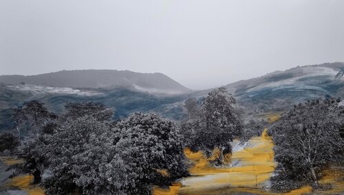 La nature luxuriante / Vue depuis le lodge / Le gazouillis des oiseaux/ von Kaithya Huc, Fotografie kaufen auf Singulart