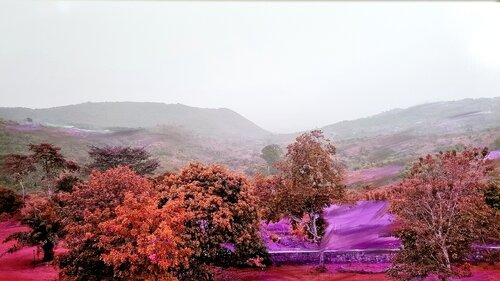 A l'affût de leur chant / Cadence et rythme / Tes mains parcourent les notes di Kaithya Huc, Fotografia in vendita su Singulart