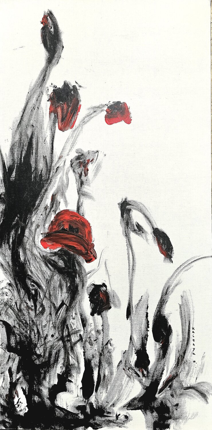 Délicate robe rouge / Douce et veloutée  /  Assourdissants insectes Kaithya Huc