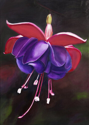 Fuchsia flower von Svetlana Saratova, Malerei kaufen auf Singulart