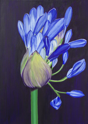 Agopanthus flower par Svetlana Saratova, Peinture en vente sur Singulart
