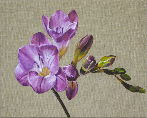 Burgundy flower, Freesia de Svetlana Saratova, Pintura a la venta en Singulart
