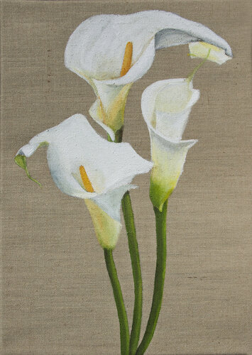 Callas by Svetlana Saratova, Painting for Sale on Singulart