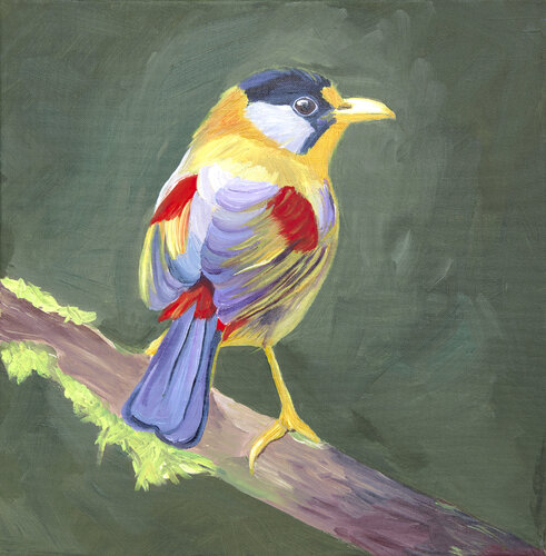 Colored bird on a dark green background. von Svetlana Saratova, Malerei kaufen auf Singulart