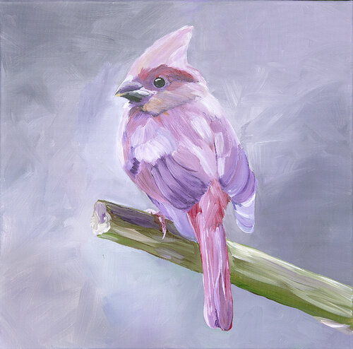 Beatiful pink Bird. von Svetlana Saratova, Malerei kaufen auf Singulart
