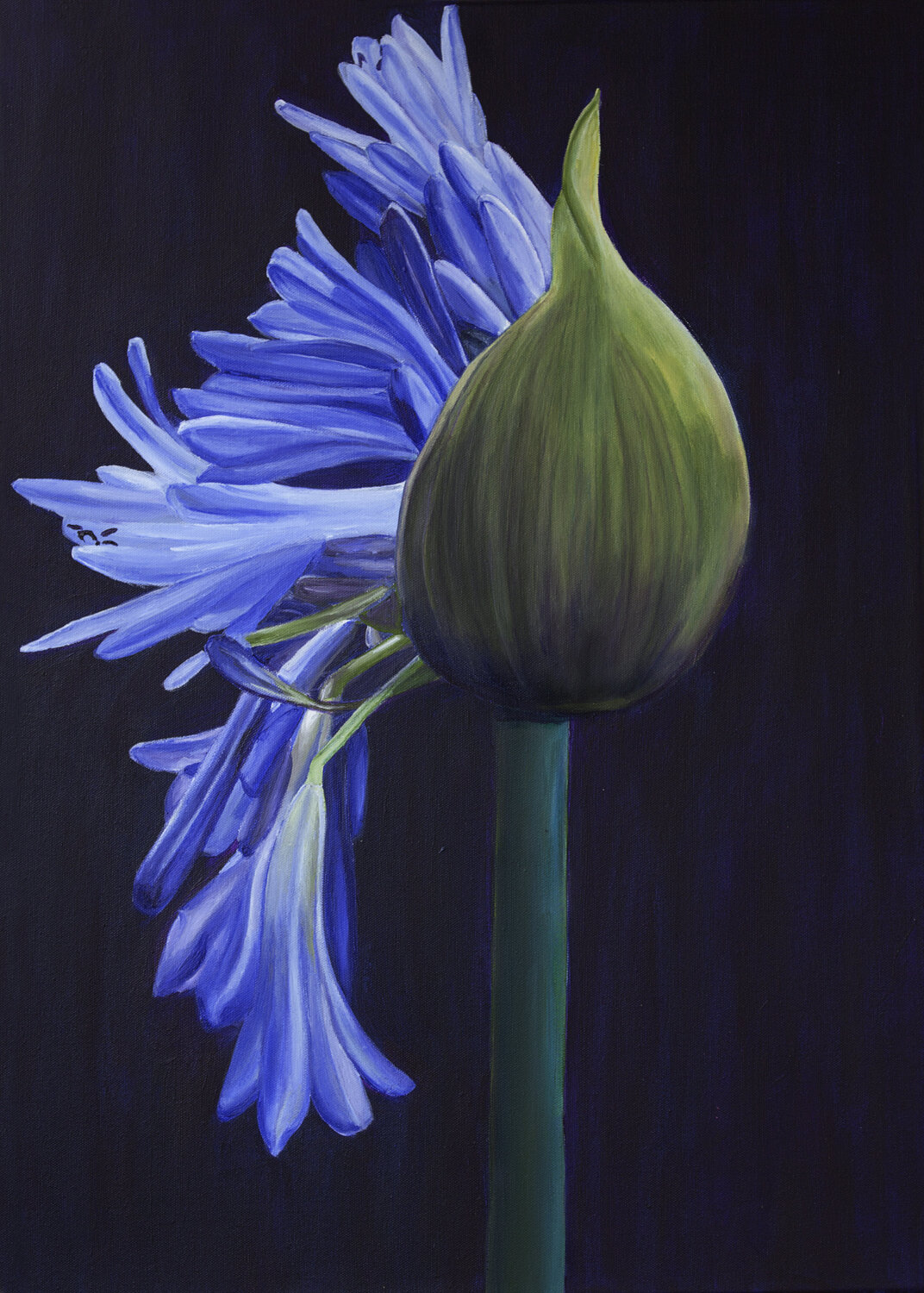 Blue blooming buds Svetlana Saratova