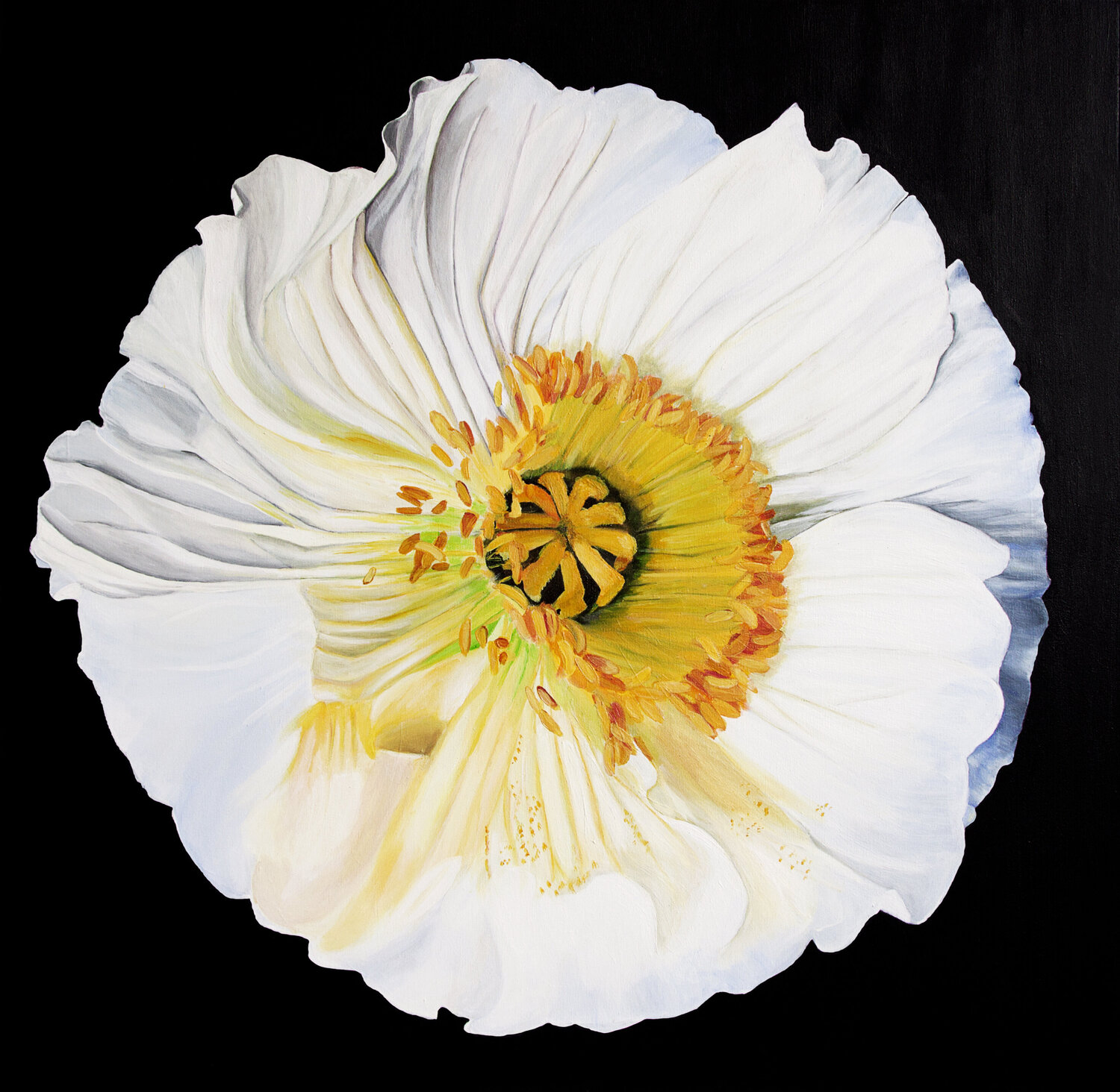 White poppy on a black background Svetlana Saratova Originalgemälde zu verkaufen