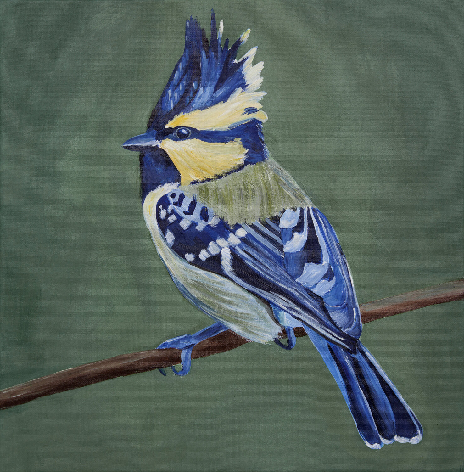 Bird on green background Svetlana Saratova