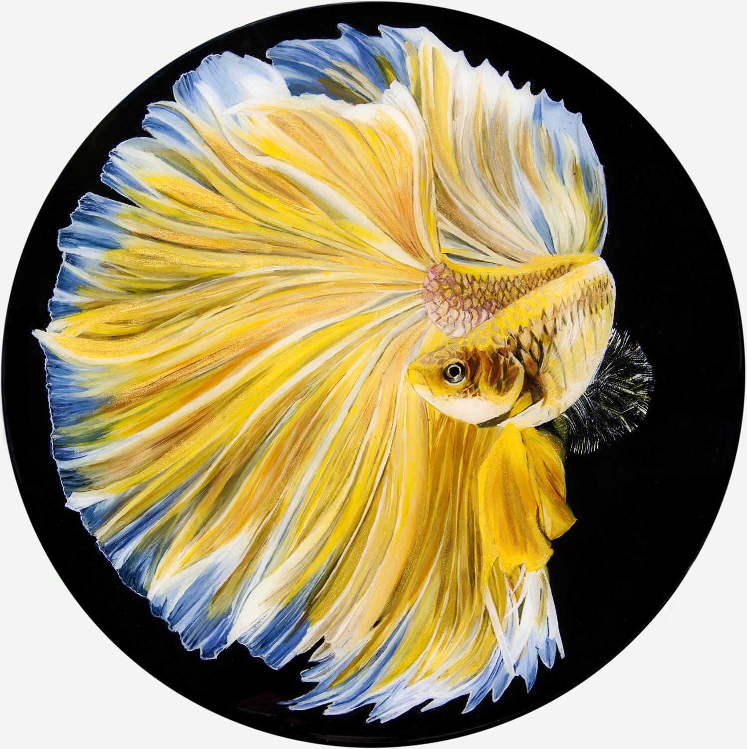 Goldfish Svetlana Saratova
