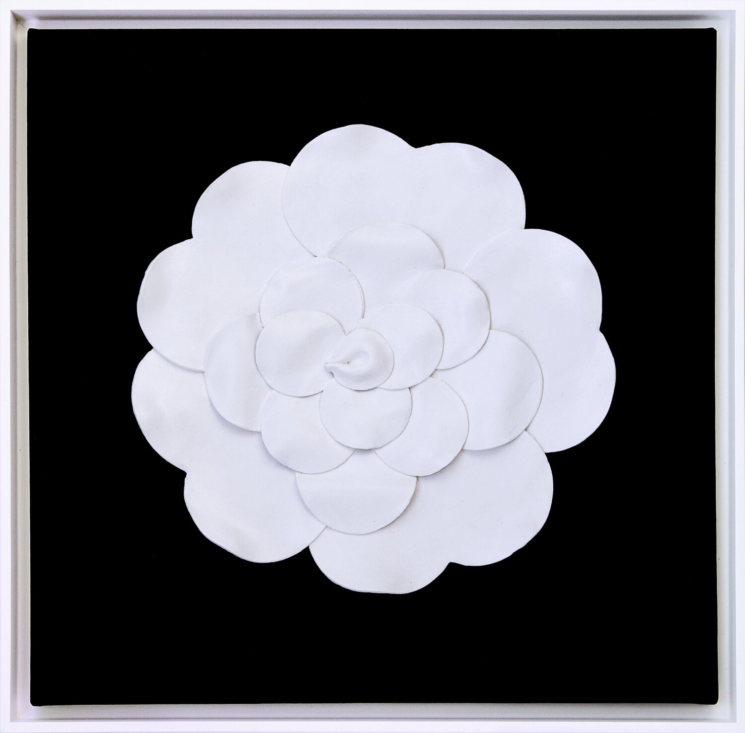 White flower. Chanel Svetlana Saratova