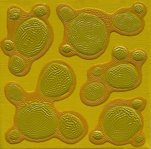 Small Ying - Yang - Yellow - Yellow  Green di Pablo Contrisciani, Pittura in vendita su Singulart