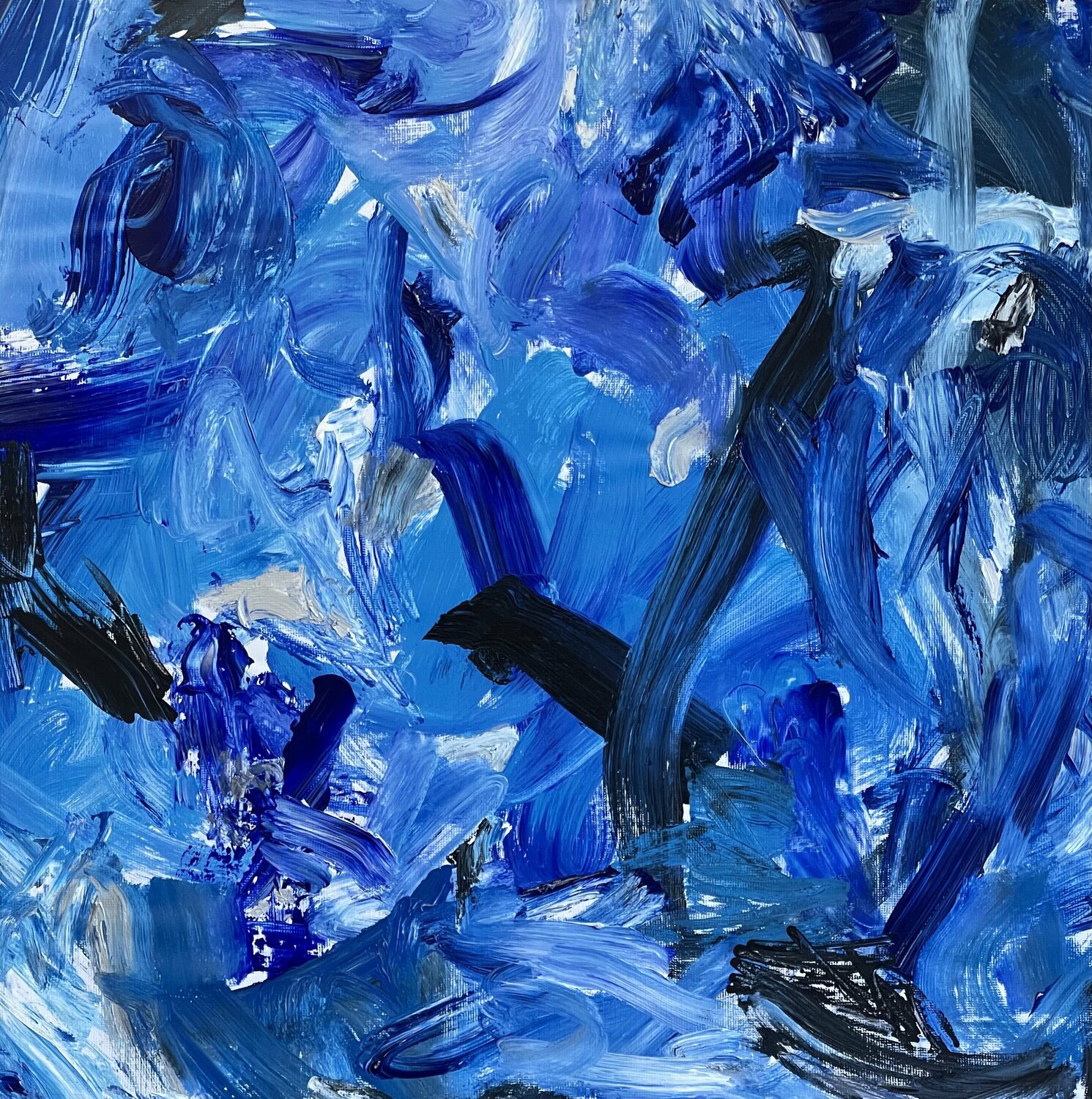 Full Blue Moon Pablo Contrisciani