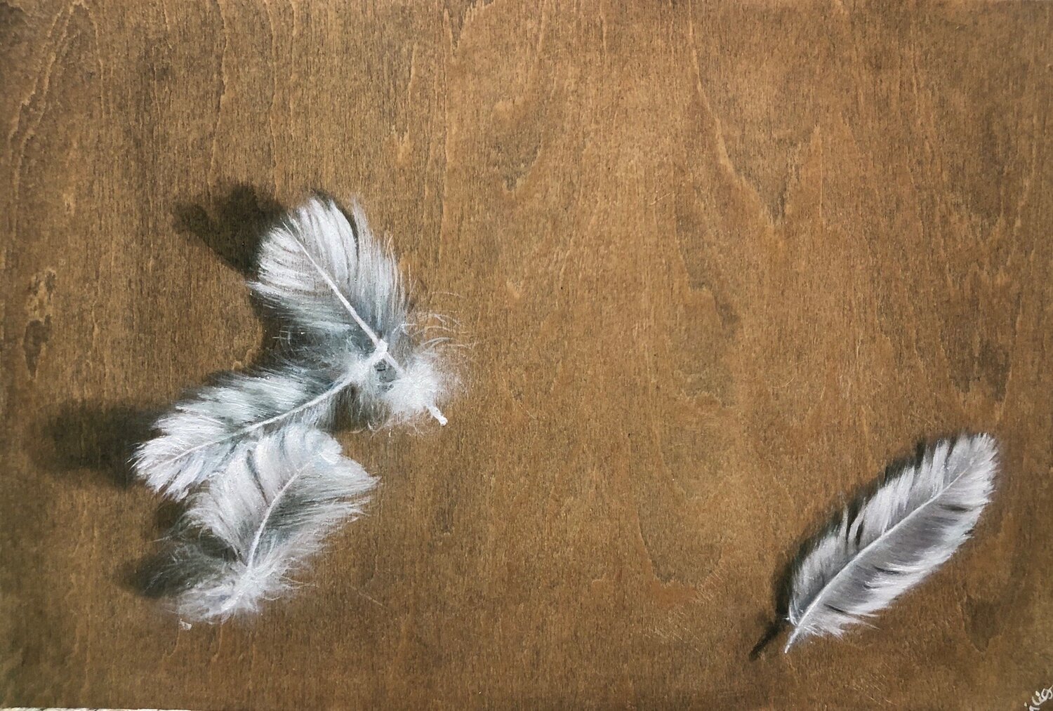 Feathers. A Study Behnaz Larsen