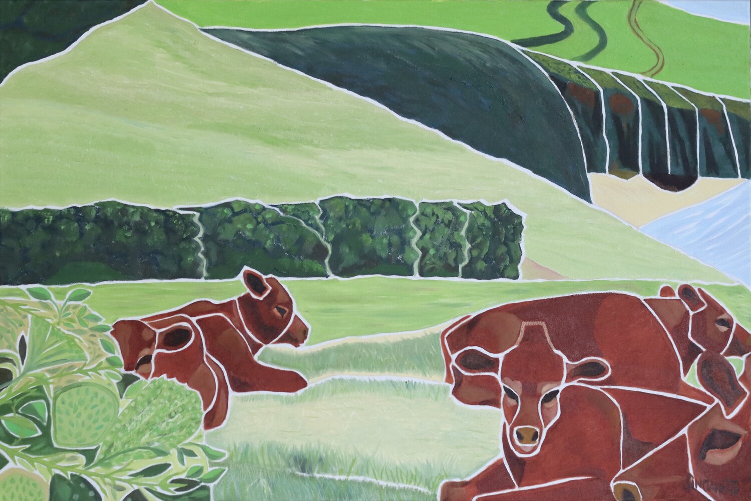 Cornish cows Sinclair Webster