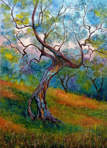 Vecchio ulivo. di Viktoriya Filipchenko, Pittura in vendita su Singulart