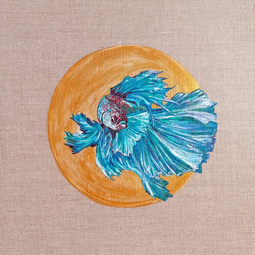 Pesce Betta Verde. Viktoriya Filipchenko