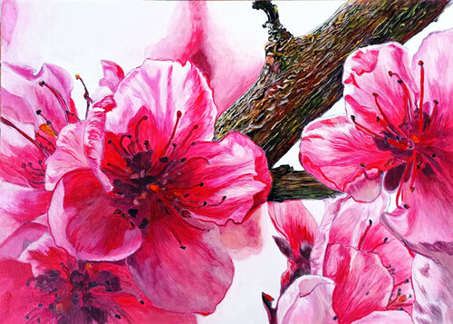Sakura Blossom. von Viktoriya Filipchenko, Malerei kaufen auf Singulart