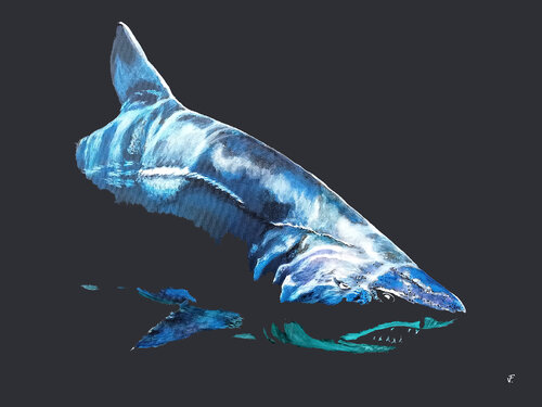 Shark. von Viktoriya Filipchenko, Malerei kaufen auf Singulart
