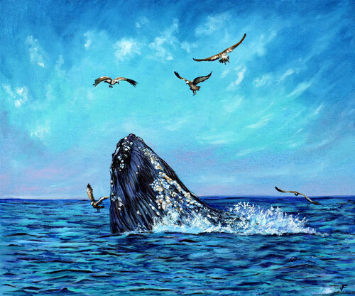 Quando la Balena incontra i Gabbiani. Viktoriya Filipchenko