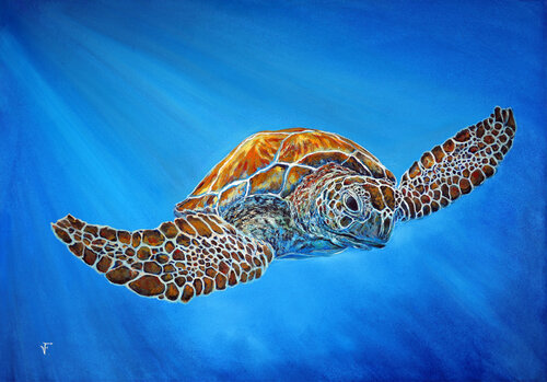 La tartaruga. Viktoriya Filipchenko