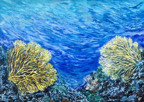 Coralli gialli . Viktoriya Filipchenko