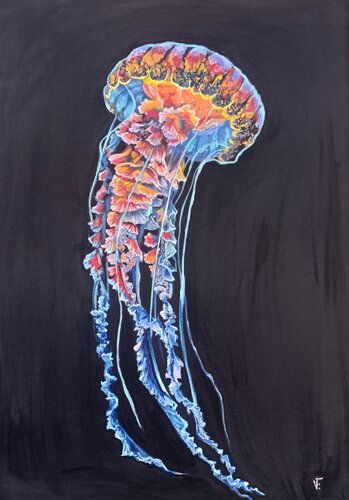 La medusa colorata. von Viktoriya Filipchenko, Malerei kaufen auf Singulart