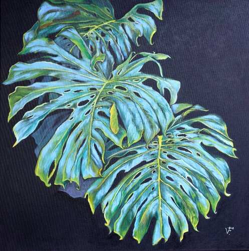 Pianta di Monstera. di Viktoriya Filipchenko, Pittura in vendita su Singulart