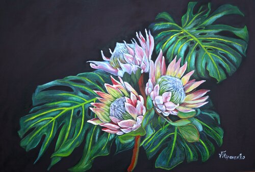 Protea. von Viktoriya Filipchenko, Malerei kaufen auf Singulart