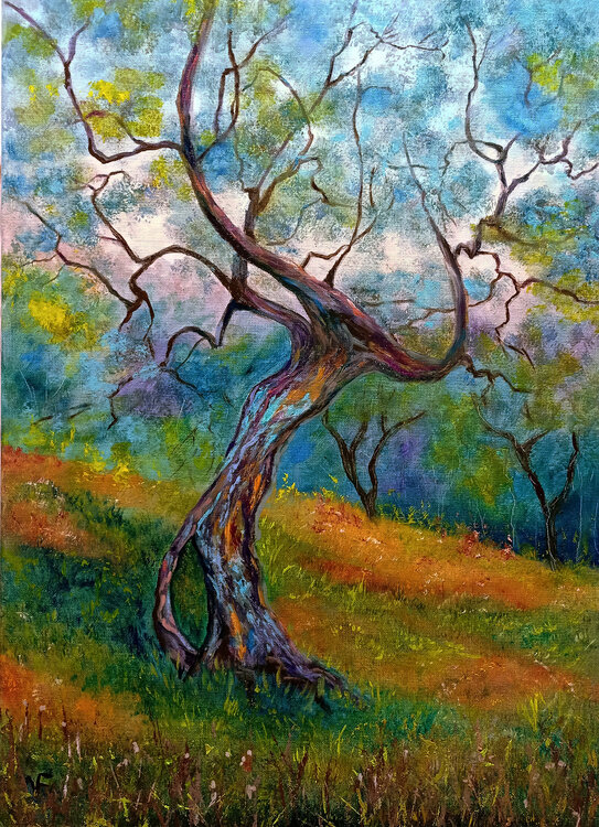 Vecchio ulivo. Viktoriya Filipchenko