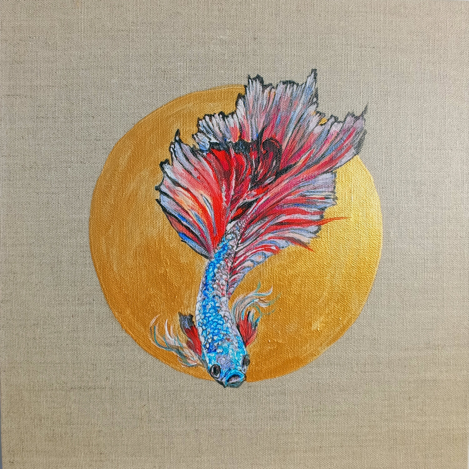 Pesce Beta Rosa. Viktoriya Filipchenko