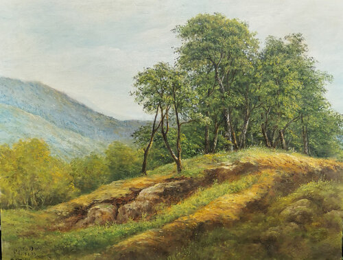 A little hill von nima novik, Malerei kaufen auf Singulart