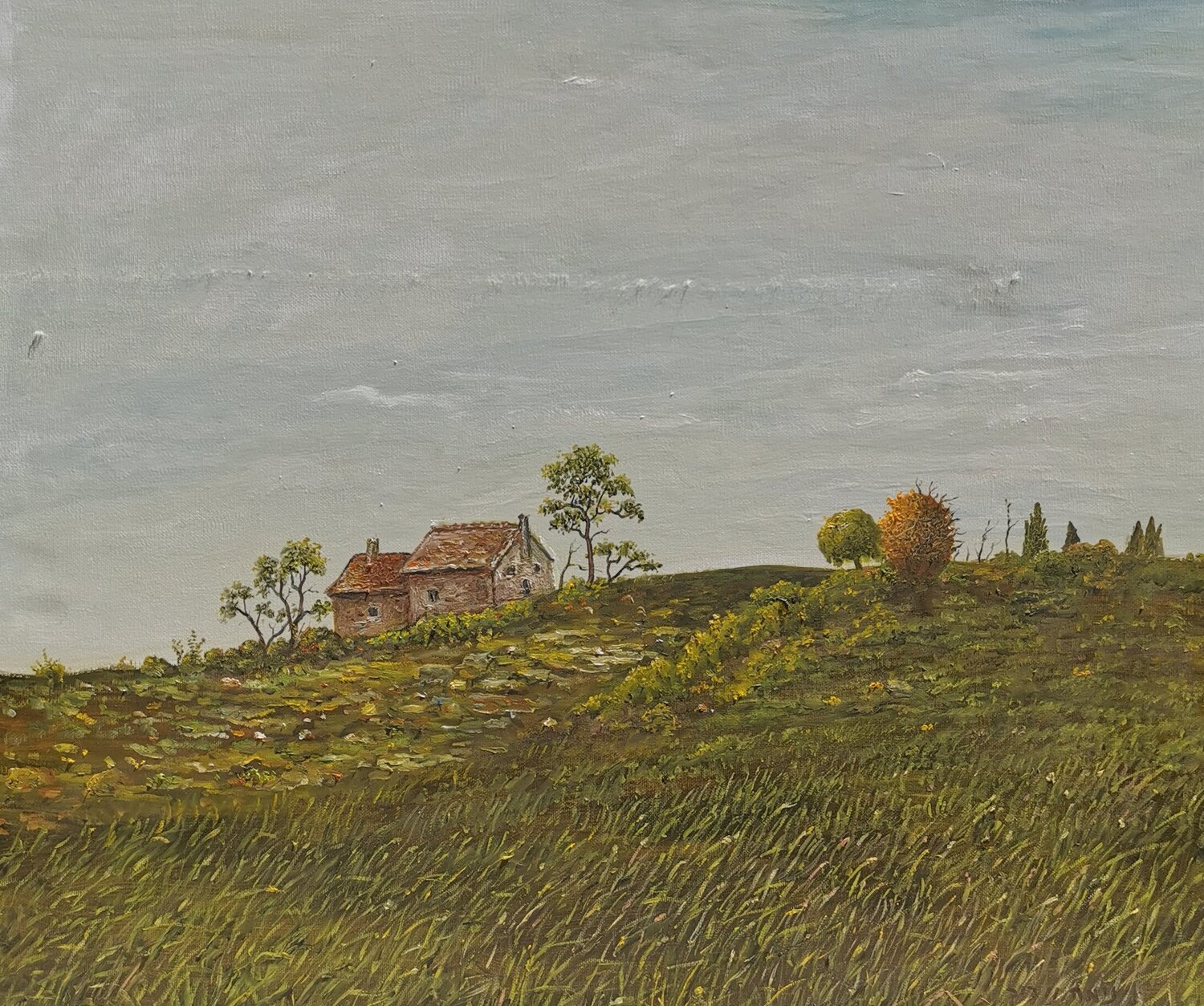 A Small House on the Hill nima novik