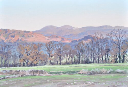 Dix-neuf novembre, soleil couchant sur les monts du Velay di Anne Baudequin, Pittura in vendita su Singulart