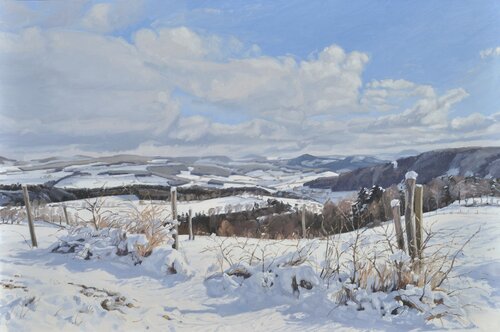 Chemin dans la neige, Saint Julien du Pinet by Anne Baudequin, Painting for Sale on Singulart