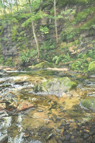 Rivière à l'ombre de la falaise di Anne Baudequin, Pittura in vendita su Singulart