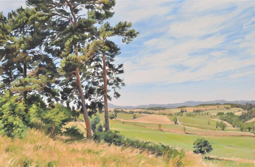 Ving-quatre juin, lumière d'été sur les monts du Velay by Anne Baudequin, Painting for Sale on Singulart