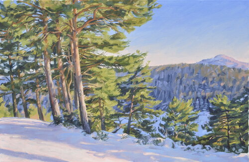 Après-midi d'hiver sur le Mézenc van Anne Baudequin, Schilderij te koop op Singulart