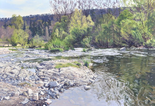 La Loire sauvage au printemps von Anne Baudequin, Malerei kaufen auf Singulart