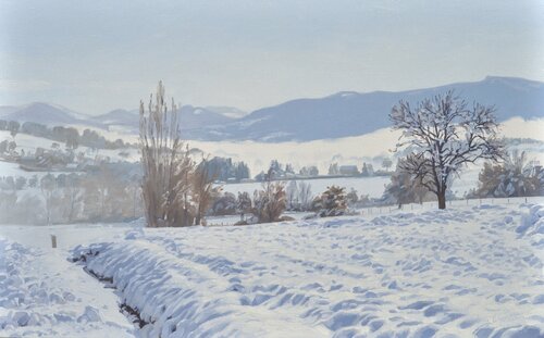 Brumes du matin sur les monts enneigés van Anne Baudequin, Schilderij te koop op Singulart