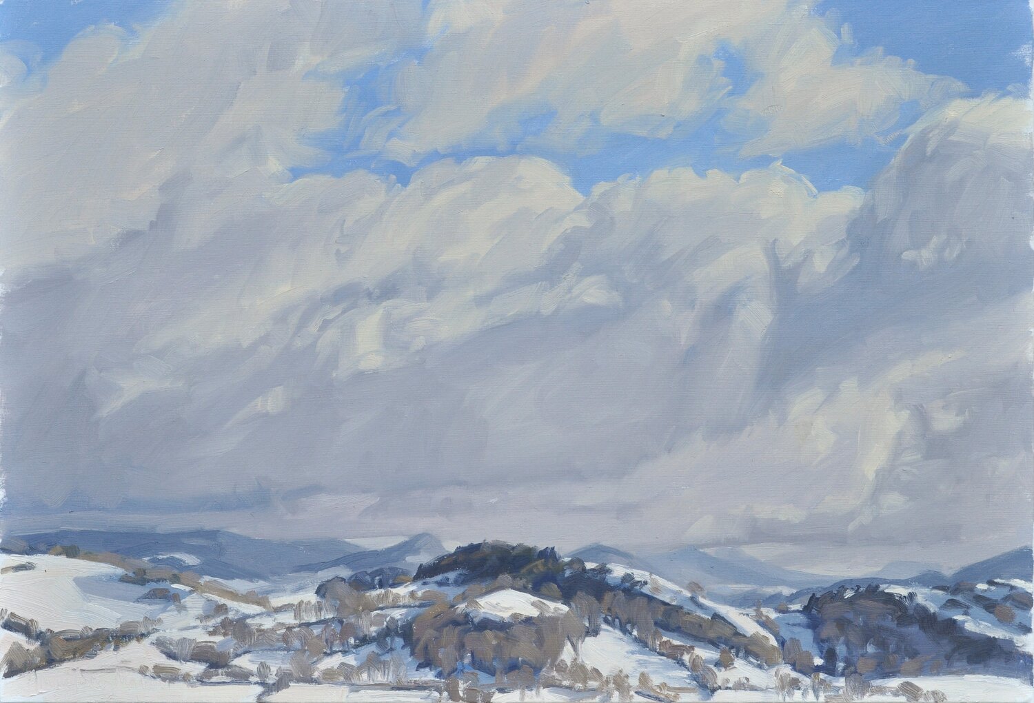 Dix-neuf janvier, neige sur les Monts du Velay Anne Baudequin Peinture originale à vendre