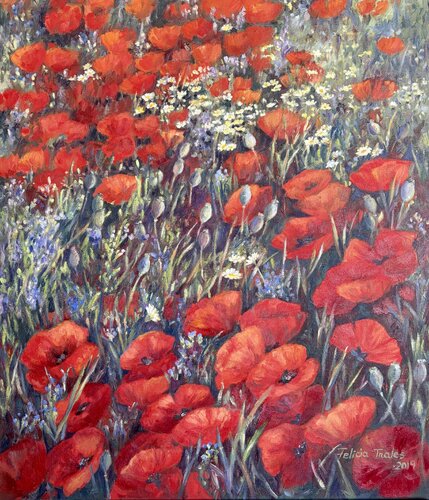 Wild red Poppies Felicia Trales