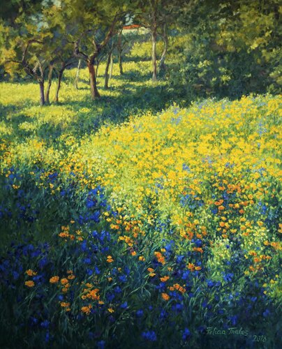 Lights and Shadows van Felicia Trales, Schilderij te koop op Singulart