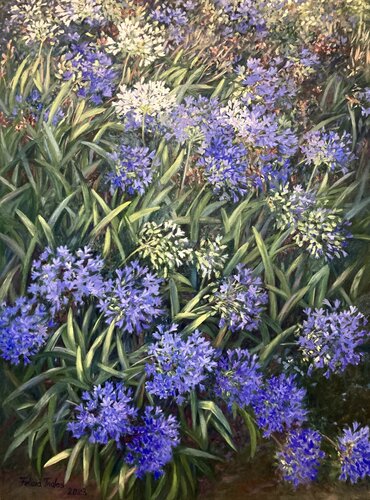 African Lily by Felicia Trales, Painting for Sale on Singulart
